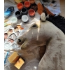 Cavallo con Bastone Dun - Hobby Horse
