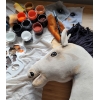Cavallo con Bastone Light Dun - Hobby Horse