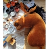 Cavallo con Bastone Premium - Luce Baia - Hobby Horse