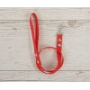Corda per Cavallo con Bastone Rosso