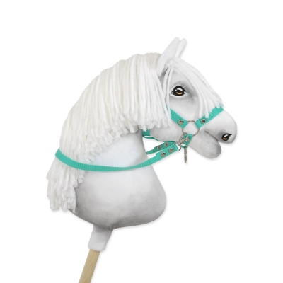 Redini per Cavallo a Bastone Menta