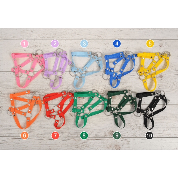 Cavallo con Bastone Light Dun - Hobby Horse
