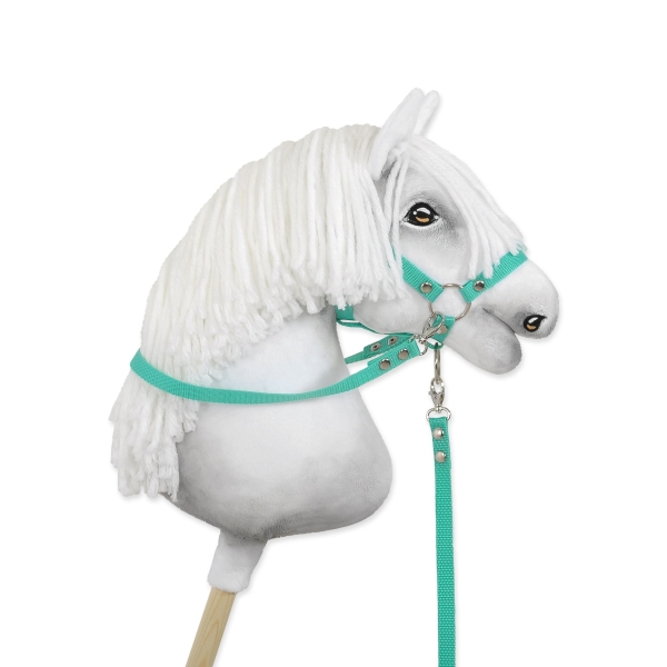Redini per Cavallo a Bastone Menta